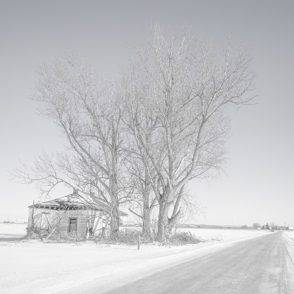 Abandoned,-Holland-Marsh-Area-Near-Toronto,-January-2014-P10301284